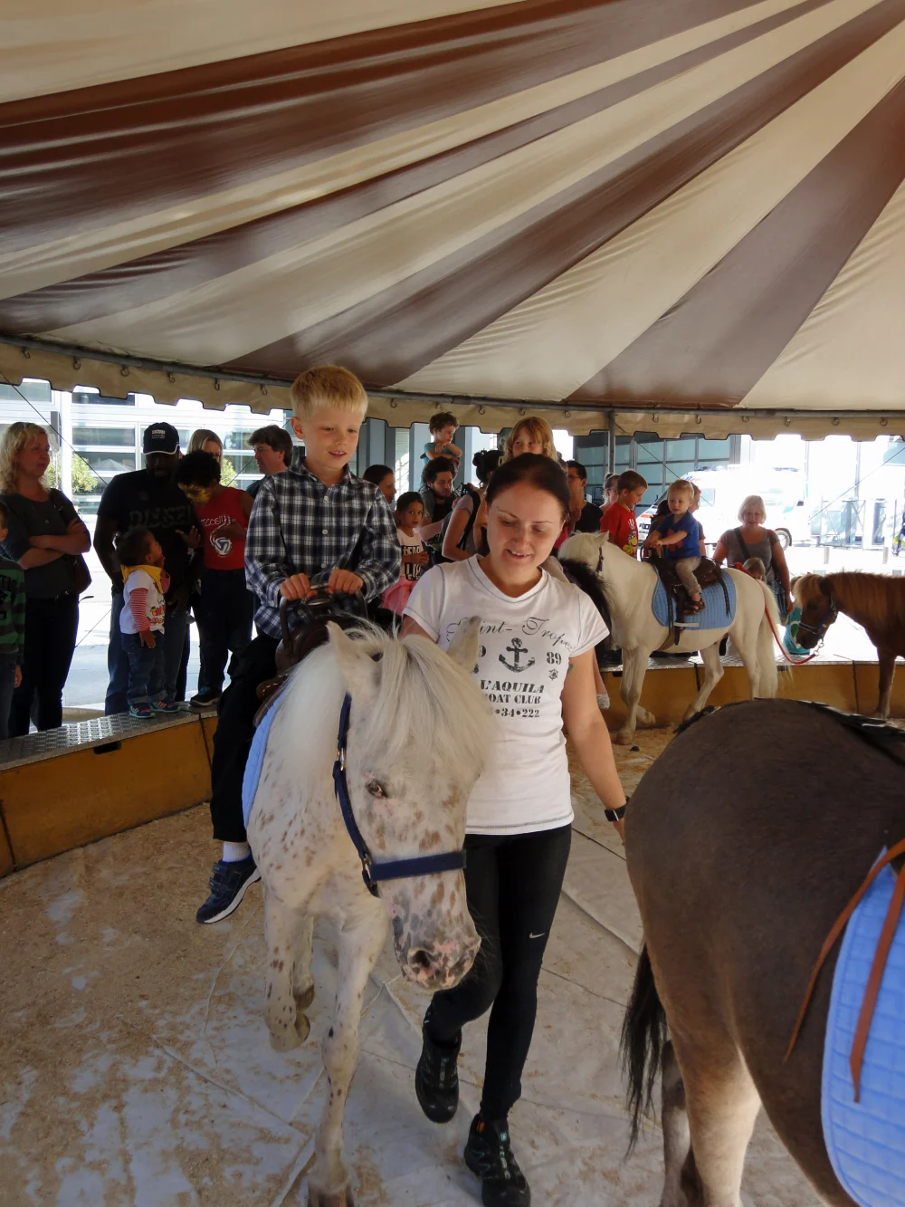 Ponyreiten