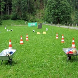 Schubkarrenrennen