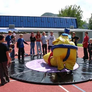 Sumo Ringen