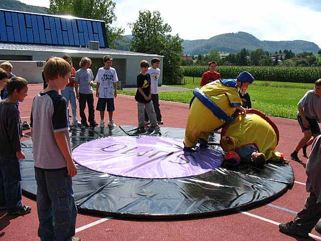 Sumo Ringen