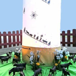 Kuhangeln - Chüelifischen – Bild 2